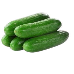 CUCUMBER HILTON 500-600GM