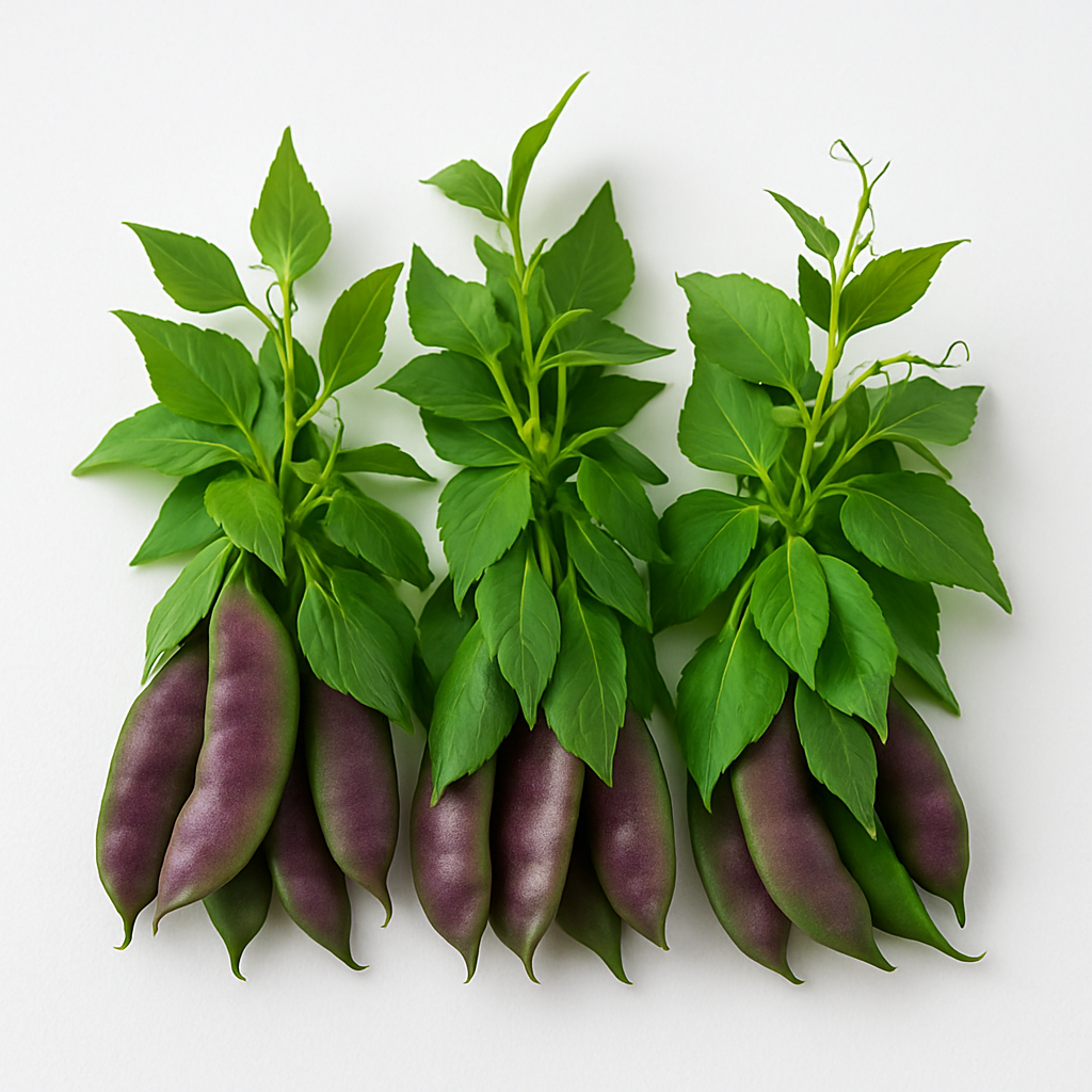 SEM CHAORI A GRADE 450-500GM