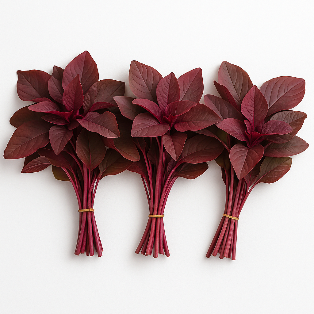 RED CHOLAI A GRADE 450-500GM