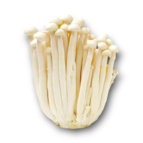 ENOKI MUSHROOM PKT 1 PKT